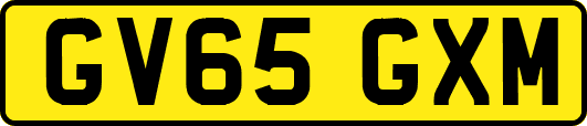 GV65GXM