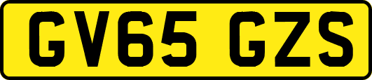 GV65GZS