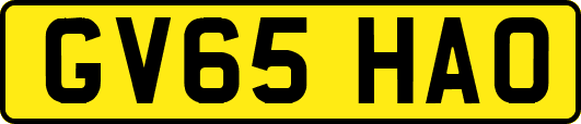 GV65HAO