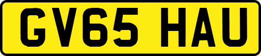 GV65HAU