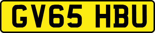 GV65HBU