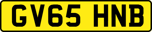GV65HNB