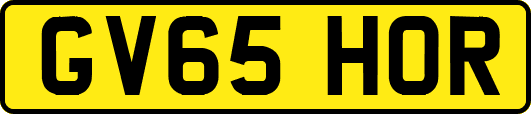 GV65HOR