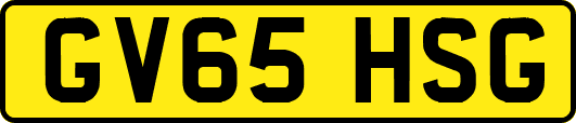 GV65HSG