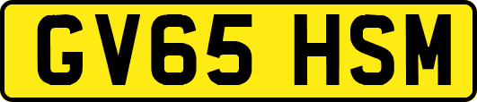 GV65HSM
