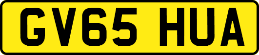 GV65HUA