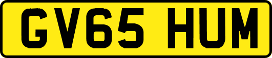 GV65HUM