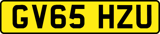 GV65HZU