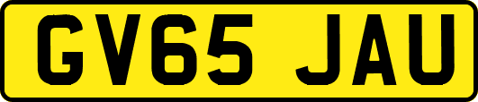 GV65JAU