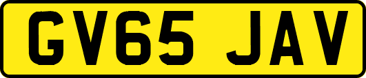 GV65JAV