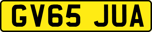GV65JUA