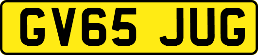 GV65JUG