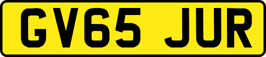 GV65JUR