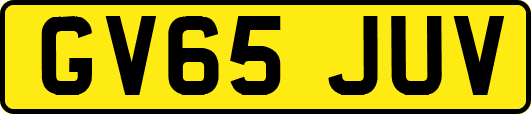 GV65JUV
