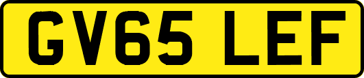 GV65LEF