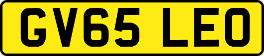 GV65LEO