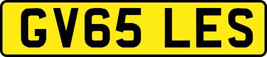 GV65LES