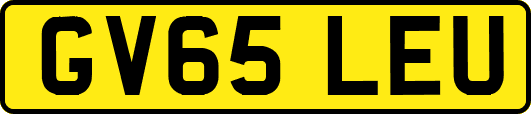 GV65LEU