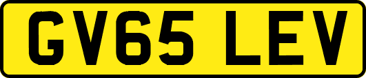 GV65LEV