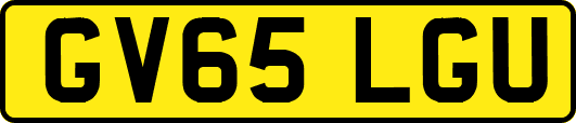 GV65LGU