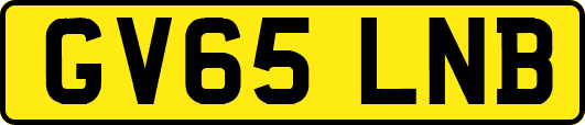 GV65LNB