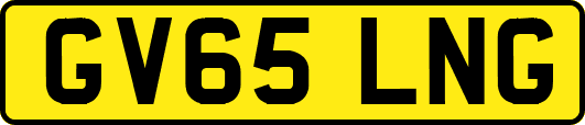 GV65LNG