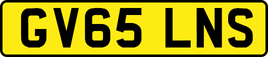 GV65LNS