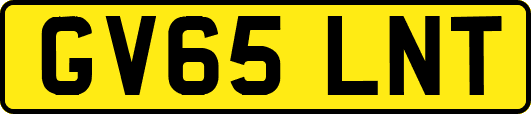 GV65LNT