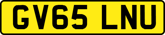 GV65LNU