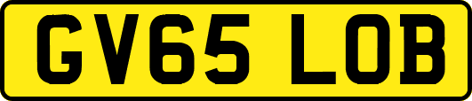 GV65LOB