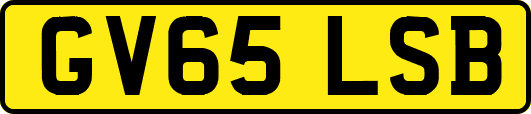 GV65LSB