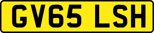 GV65LSH