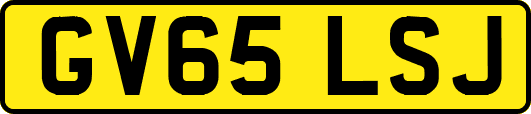 GV65LSJ