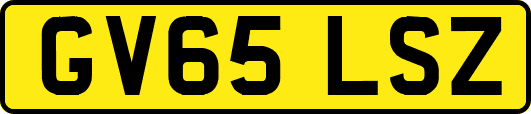 GV65LSZ