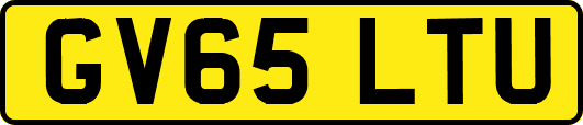 GV65LTU