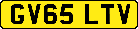 GV65LTV