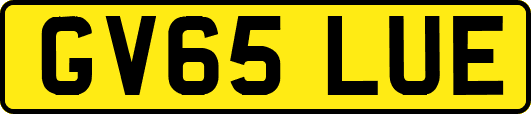 GV65LUE