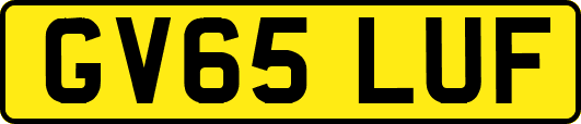 GV65LUF