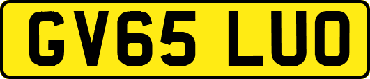 GV65LUO