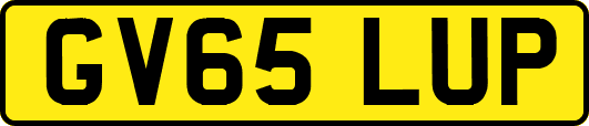 GV65LUP