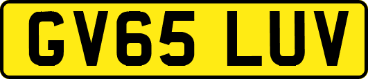 GV65LUV