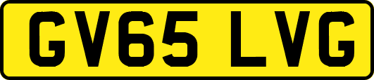 GV65LVG