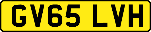 GV65LVH