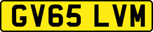 GV65LVM