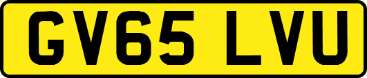 GV65LVU