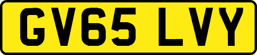 GV65LVY