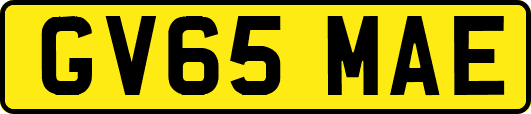 GV65MAE