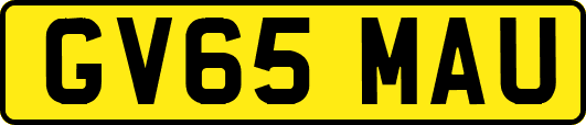 GV65MAU