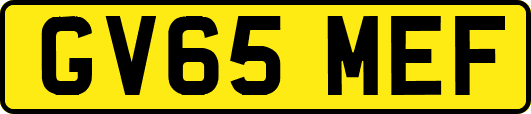GV65MEF