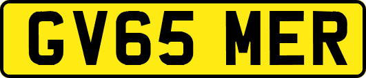 GV65MER